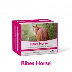 Ribes Horse 30 Buste Da 25 ml