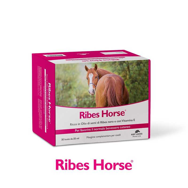 Ribes Horse 30 Buste Da 25 ml