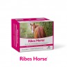 Ribes Horse 30 Buste Da 25 ml