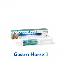 Gastro Horse 3 Pasta Appetibile 100 gr