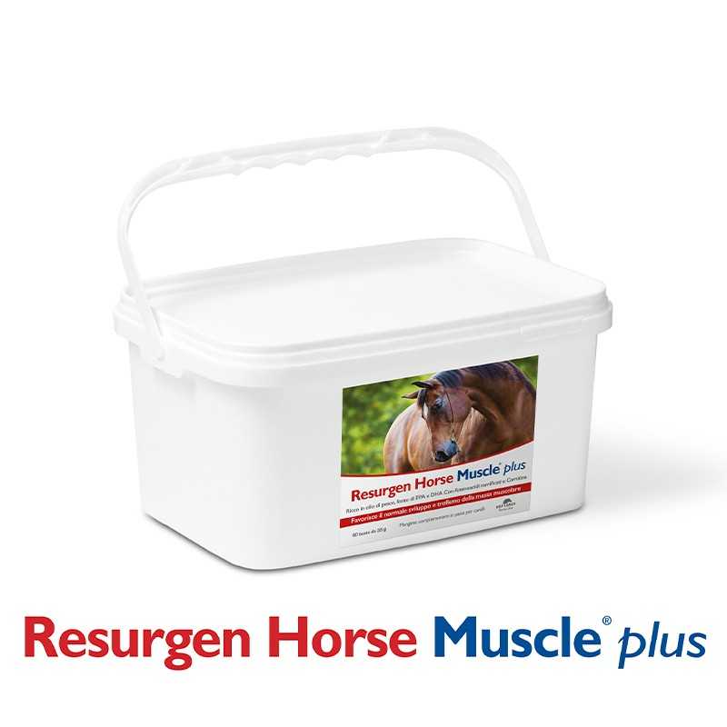 Resurgen Horse Muscle Plus 60 Buste 35 ml