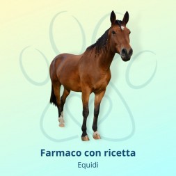 Bute Iniettabile Flacone 100 ml