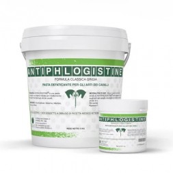 Antiphlogistine Pasta Cosmetico Barattolo 1 kg