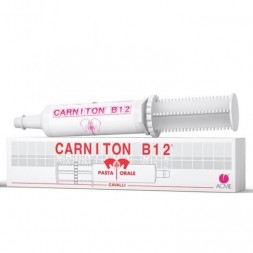 Carniton B12 Pasta Orale 1 Siringa 100 gr