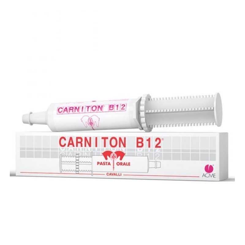 Carniton B12 Pasta Orale 1 Siringa 100 gr