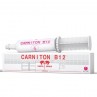 Carniton B12 Pasta Orale 1 Siringa 100 gr