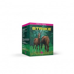 Strike Pasta Orale 20 Siringhe 35 gr