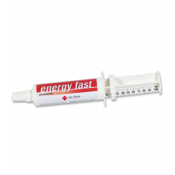 Energy Fast Siringa 80 gr