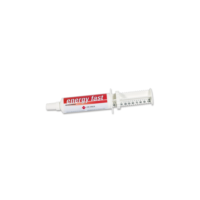 Energy Fast Siringa 80 gr