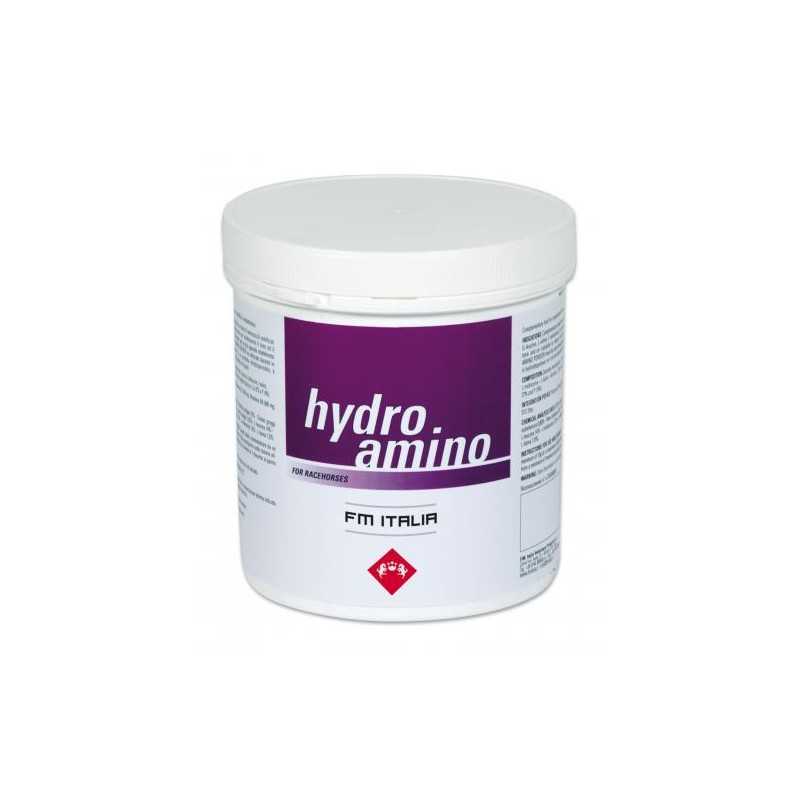 Hydro Amino Powder Polvere 600 gr