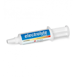 Electrolyte Plus Siringa Mono Erogazione 50 gr