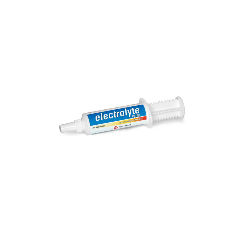 Electrolyte Plus Siringa Mono Erogazione 50 gr