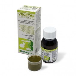 Vegetal Care Gel 100 ml