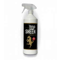 Top Sheen Spray 1 litro