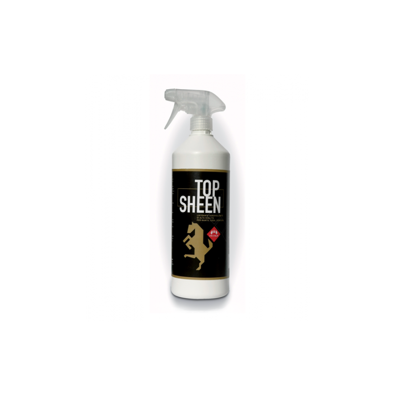 Top Sheen Spray 1 litro