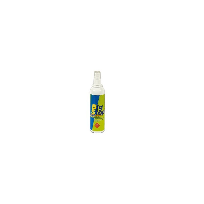 Big Stop Spray 200 ml