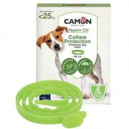 Protection Collare Cane 60 cm | FarmaPet