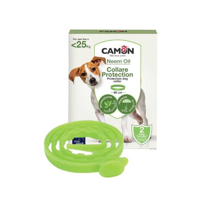 Protection Collare Cane 60 cm | FarmaPet