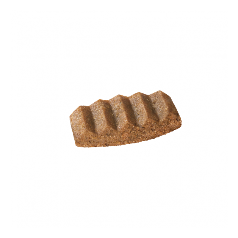 Snack per Cani i Morbidosi