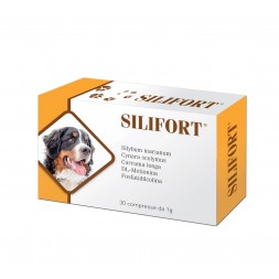 Aurora Biofarma Silifort 30 Compresse