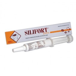 Aurora Biofarma Silifort Pasta Os Siringa 15 gr e 30 gr