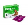 Duecto 4 Pipette Spot-On 20-40 Kg