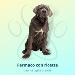 Bravecto Triuno Cani 20-40 kg 3 Compresse Masticabili