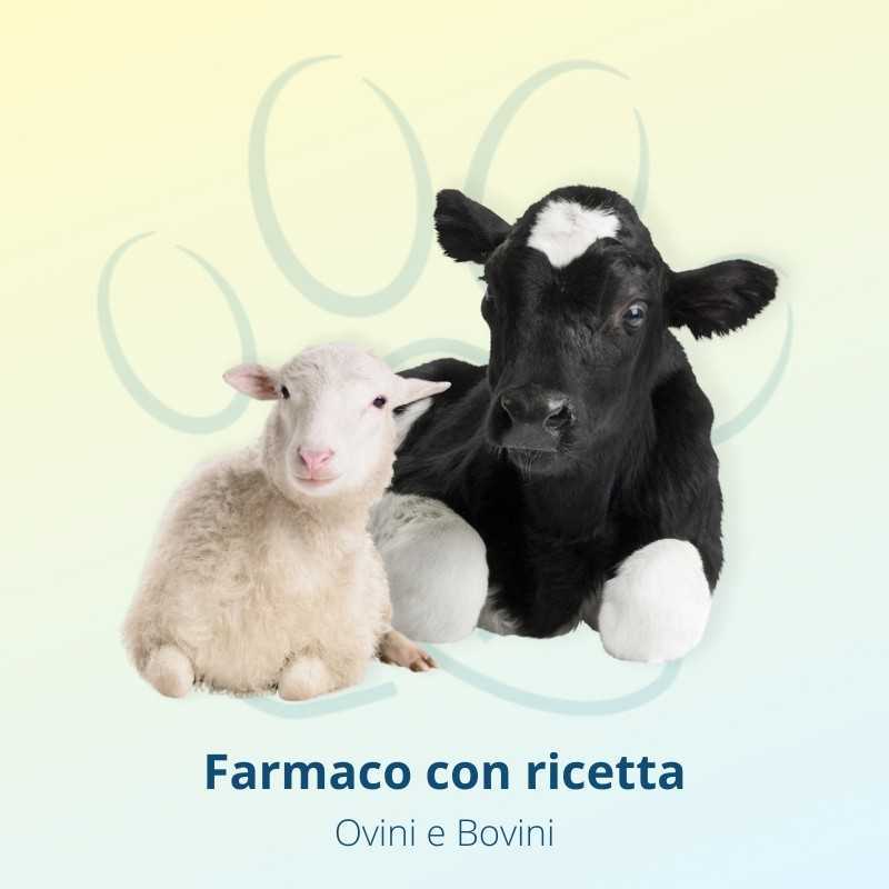 Covexin 10 Flacone 50 ml