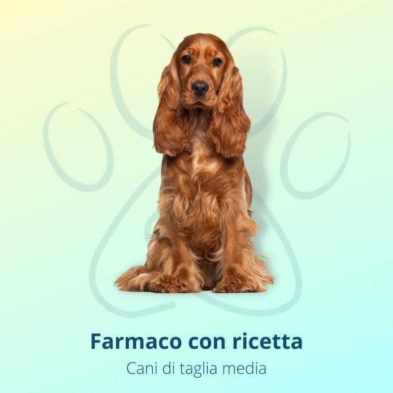 Zenrelia 8,5 mg 30 Compresse Per Cani