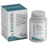 Aurora Biofarma Kanadol 30 Compresse 1 gr