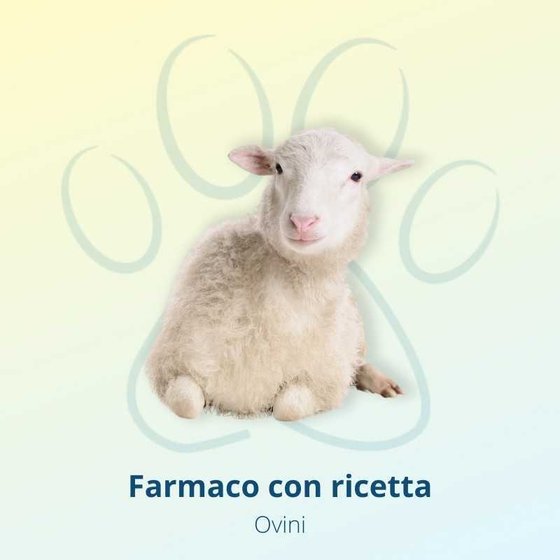 Oramec Soluzione Orale Flacone 2,5 lt