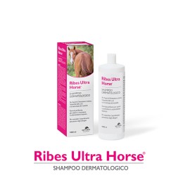 Nbf Lanes Ribes Horse Ultra Shampoo Balsamo 1 lt