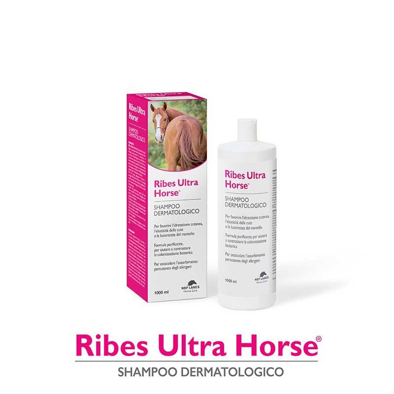 Nbf Lanes Ribes Horse Ultra Shampoo Balsamo 1 lt