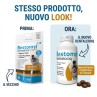 Nuovo Dentalcroc