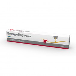 Drn Energodog Pasta 15 ml