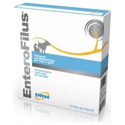 Drn Enterofilus 12 Fiale 10 ml