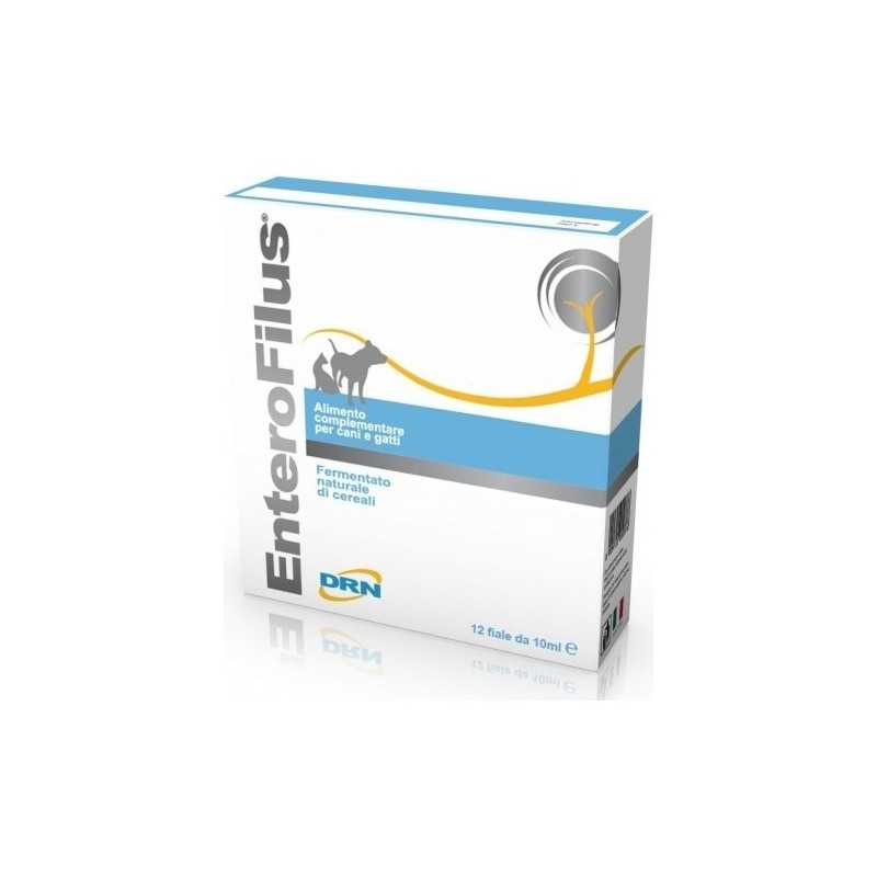 Drn Enterofilus 12 Fiale 10 ml