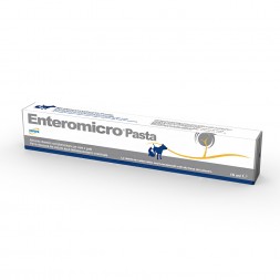 Drn Enteromicro Pasta 15 ml
