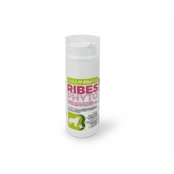 Trebifarma Ribesphyto Pasta Airless 40 gr