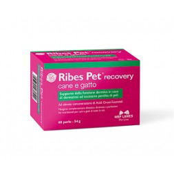 Nbf Lanes Ribes Pet Recovery 60 Perle