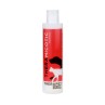 Theramicotic Shampoo 200 ml