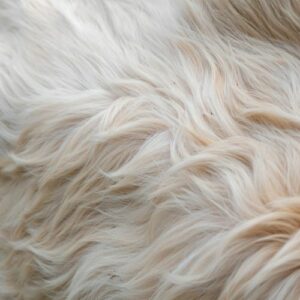 Cane col pelo opaco