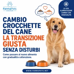 cambio crocchette per il cane